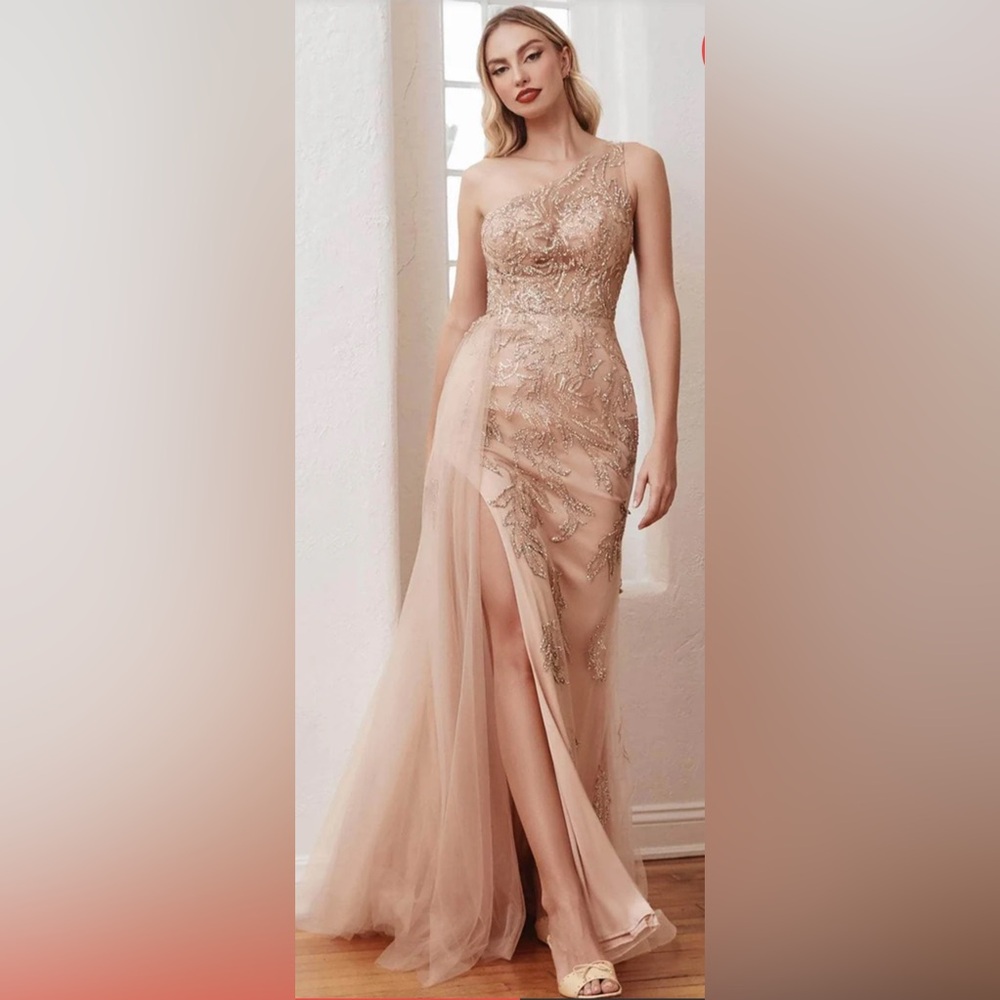 Cinderella Strapless Gold Evening Dress